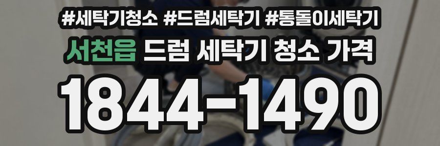 서천읍 드럼 세탁기 청소 가격