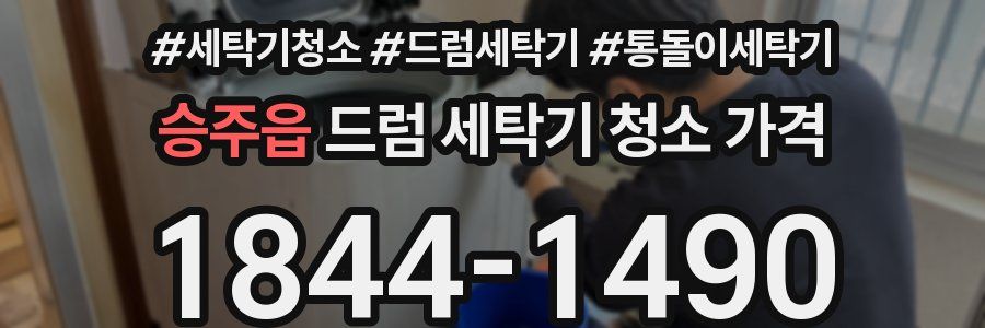 승주읍 드럼 세탁기 청소 가격