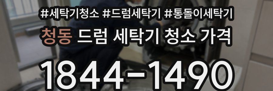 청동 드럼 세탁기 청소 가격