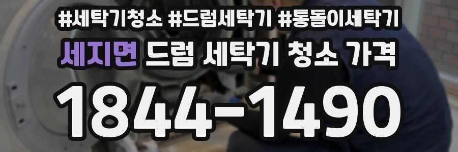 세지면 드럼 세탁기 청소 가격