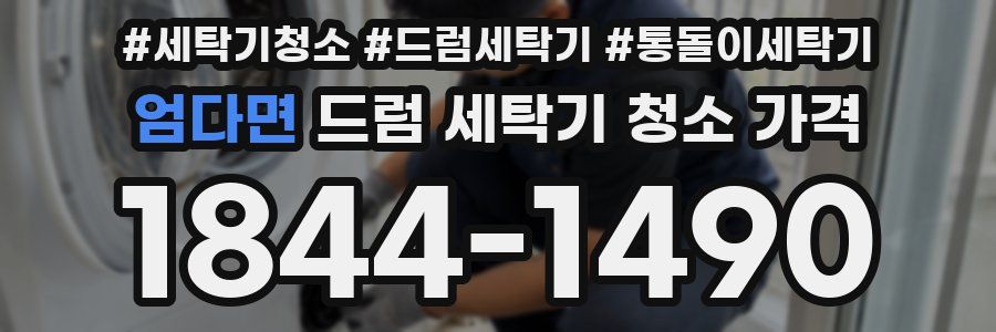 엄다면 드럼 세탁기 청소 가격