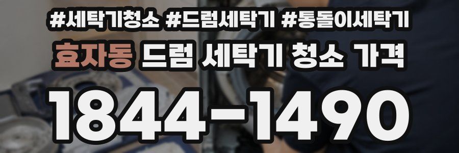 효자동 드럼 세탁기 청소 가격