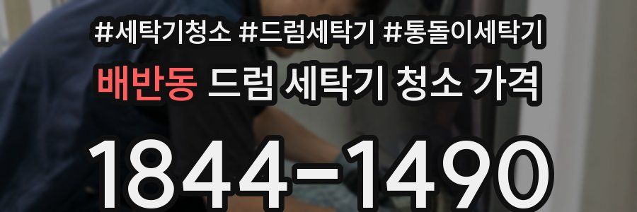 배반동 드럼 세탁기 청소 가격
