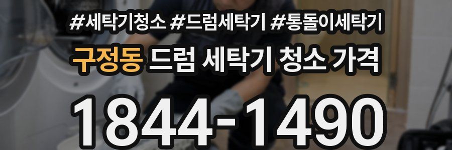 구정동 드럼 세탁기 청소 가격