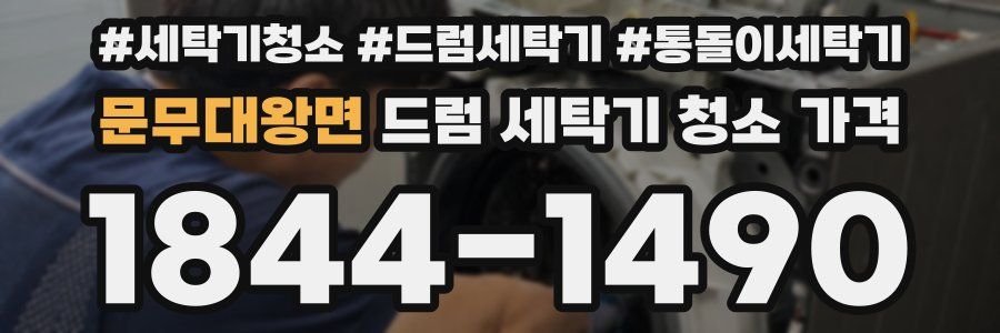 문무대왕면 드럼 세탁기 청소 가격