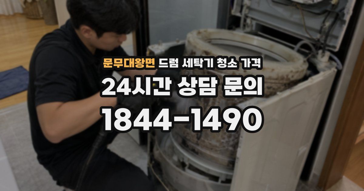 문무대왕면 드럼 세탁기 청소 가격