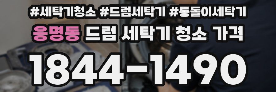 응명동 드럼 세탁기 청소 가격