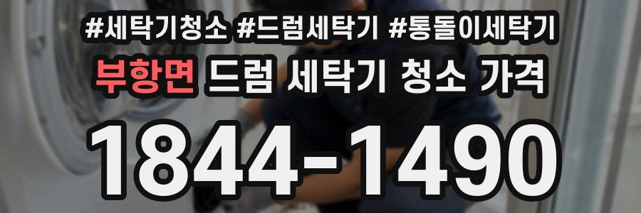 부항면 드럼 세탁기 청소 가격