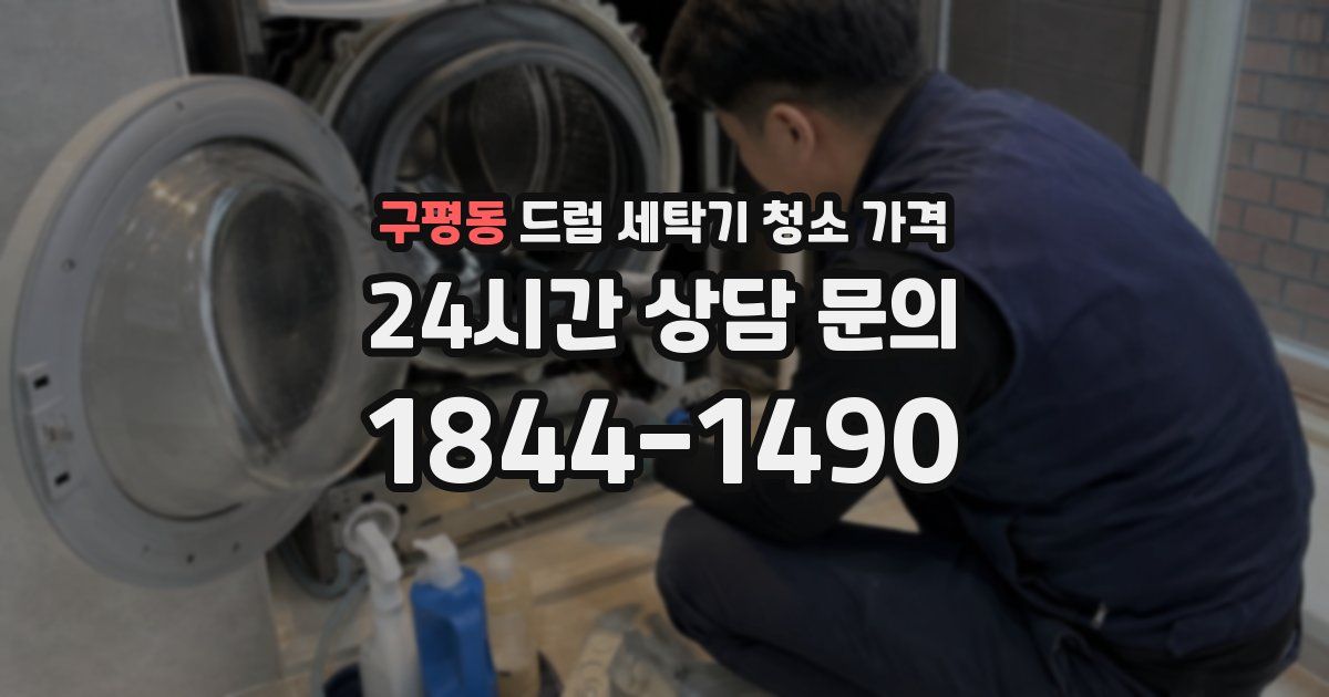 구평동 드럼 세탁기 청소 가격