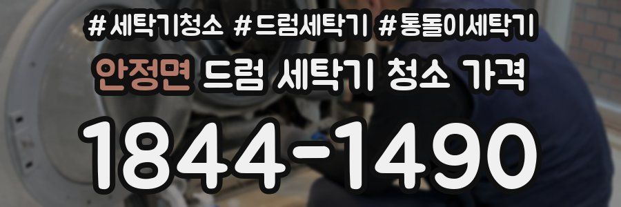 안정면 드럼 세탁기 청소 가격