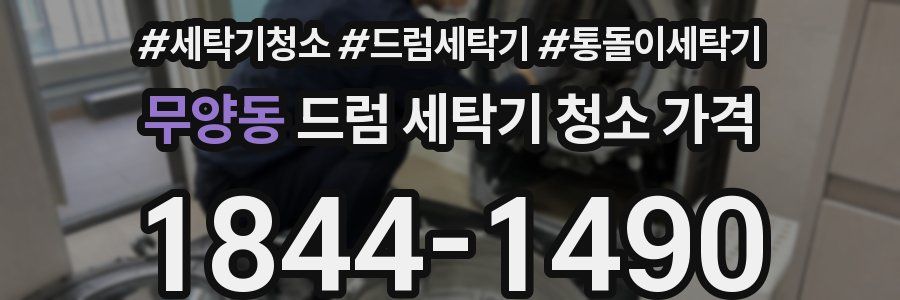 무양동 드럼 세탁기 청소 가격