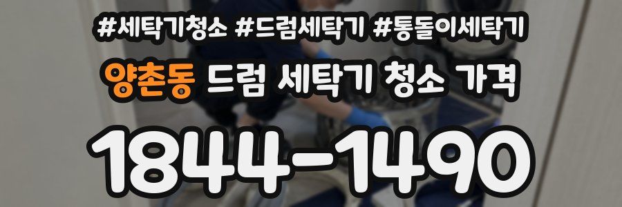 양촌동 드럼 세탁기 청소 가격