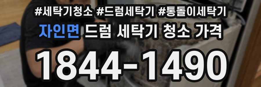 자인면 드럼 세탁기 청소 가격