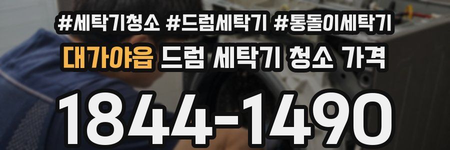 대가야읍 드럼 세탁기 청소 가격