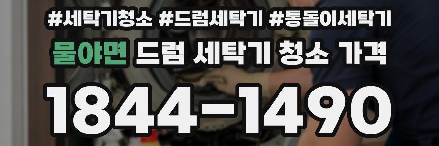 물야면 드럼 세탁기 청소 가격