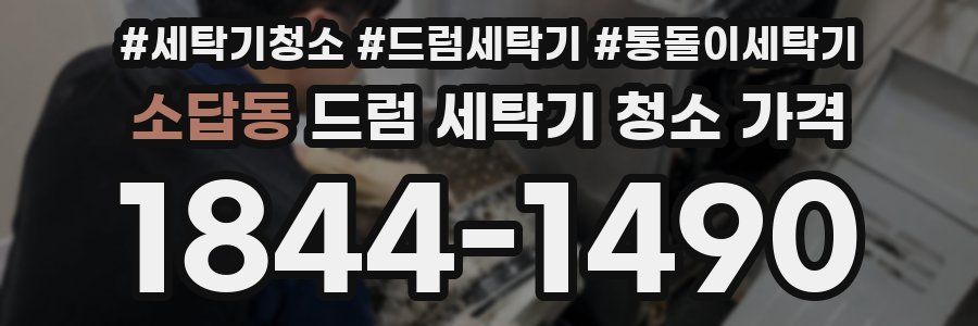 소답동 드럼 세탁기 청소 가격
