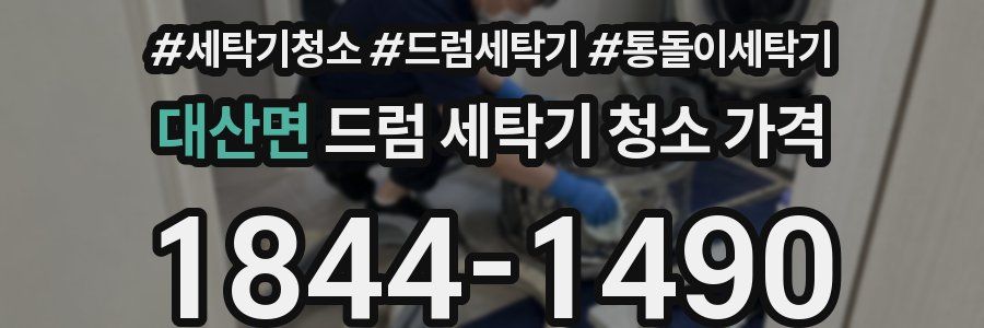 대산면 드럼 세탁기 청소 가격