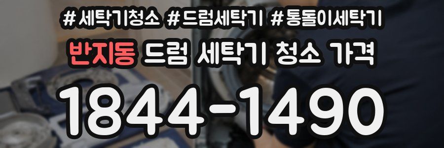 반지동 드럼 세탁기 청소 가격