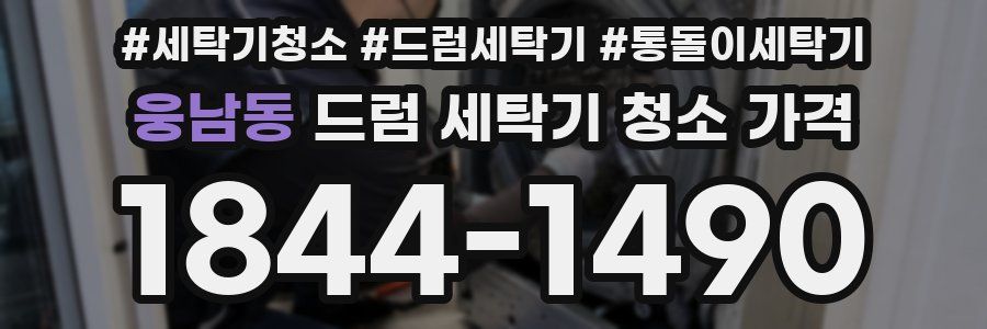 웅남동 드럼 세탁기 청소 가격
