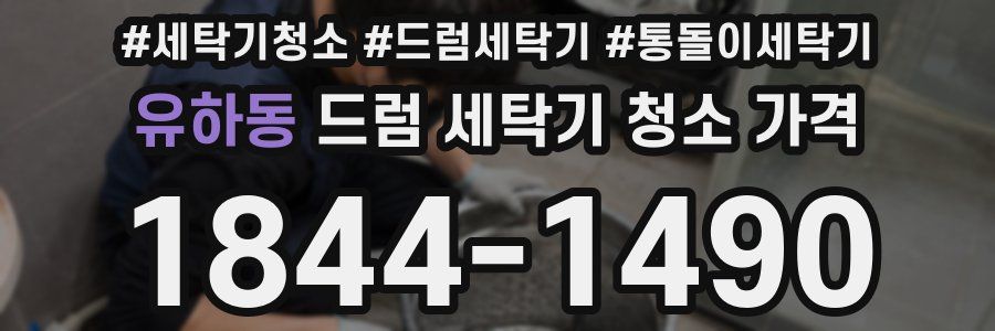 유하동 드럼 세탁기 청소 가격