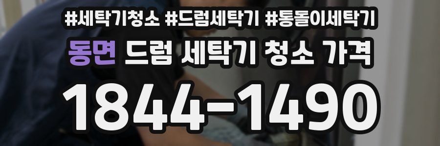 동면 드럼 세탁기 청소 가격