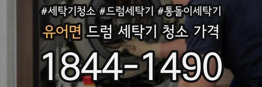 유어면 드럼 세탁기 청소 가격