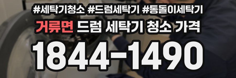 거류면 드럼 세탁기 청소 가격