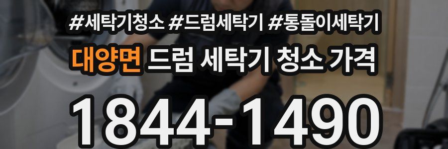 대양면 드럼 세탁기 청소 가격