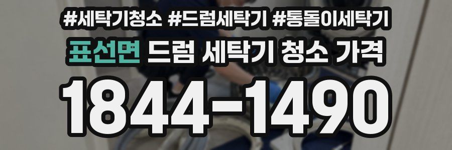 표선면 드럼 세탁기 청소 가격
