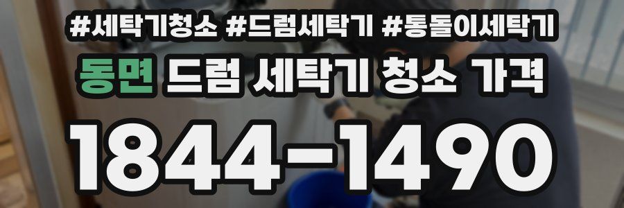 동면 드럼 세탁기 청소 가격
