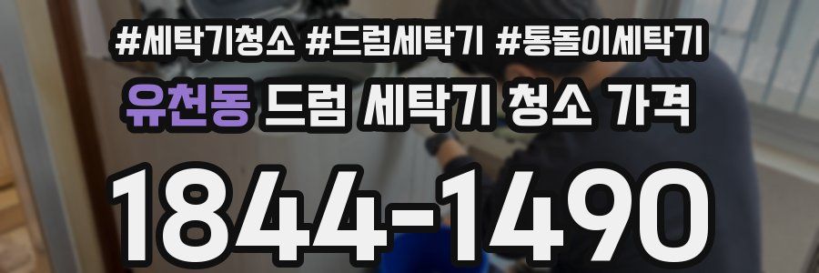 유천동 드럼 세탁기 청소 가격