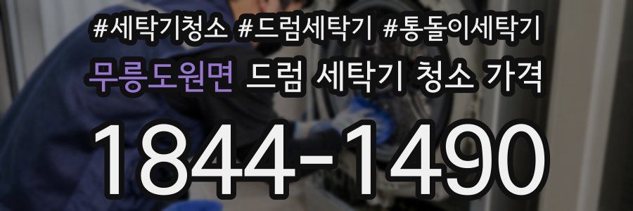 무릉도원면 드럼 세탁기 청소 가격