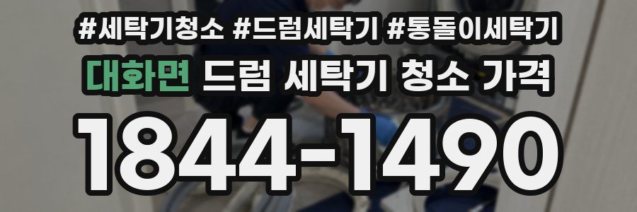 대화면 드럼 세탁기 청소 가격
