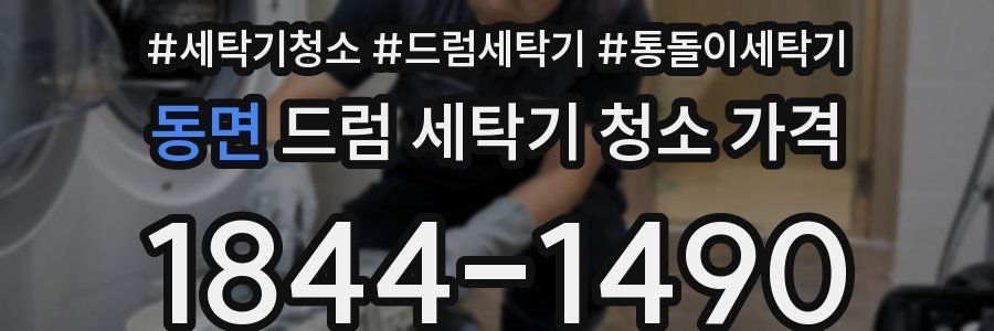동면 드럼 세탁기 청소 가격