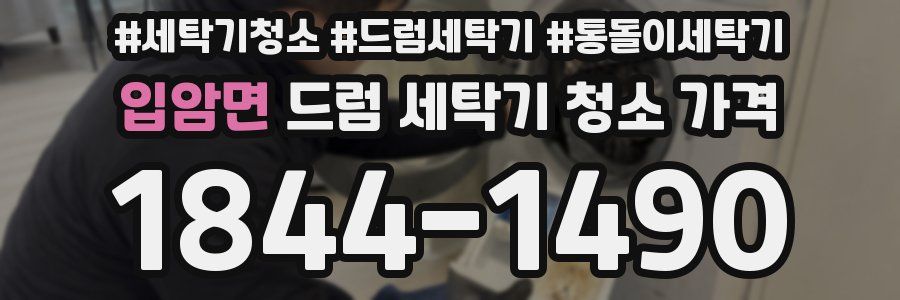 입암면 드럼 세탁기 청소 가격