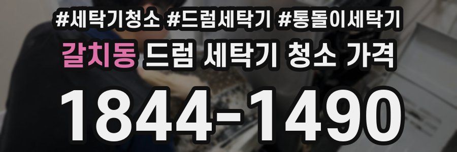 갈치동 드럼 세탁기 청소 가격