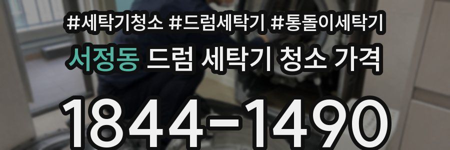 서정동 드럼 세탁기 청소 가격