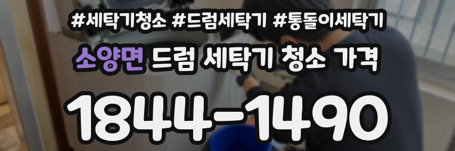 소양면 드럼 세탁기 청소 가격