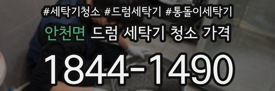 안천면 드럼 세탁기 청소 가격