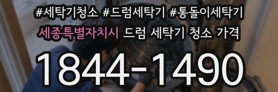 세종특별자치시 드럼 세탁기 청소 가격