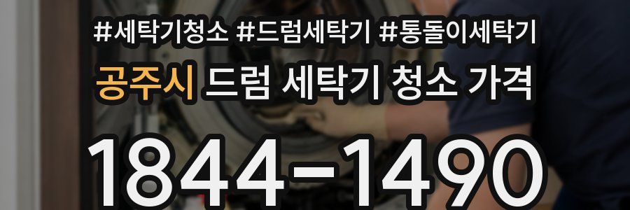 공주시 드럼 세탁기 청소 가격