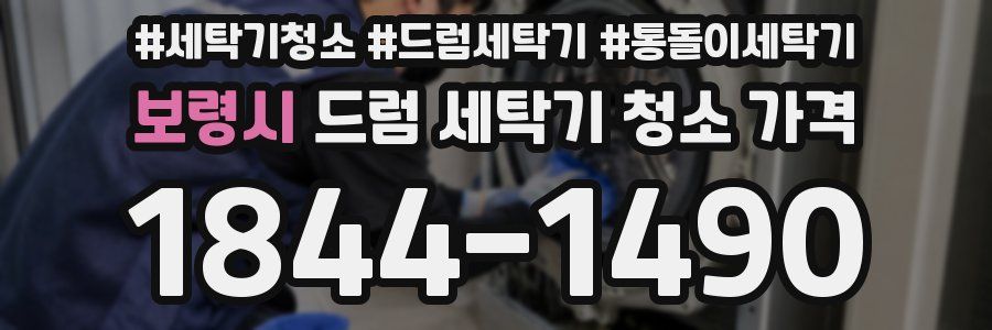 보령시 드럼 세탁기 청소 가격
