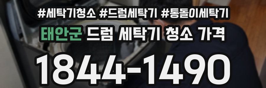 태안군 드럼 세탁기 청소 가격