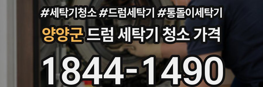 양양군 드럼 세탁기 청소 가격