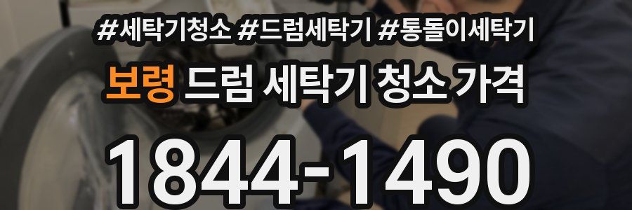 보령 드럼 세탁기 청소 가격