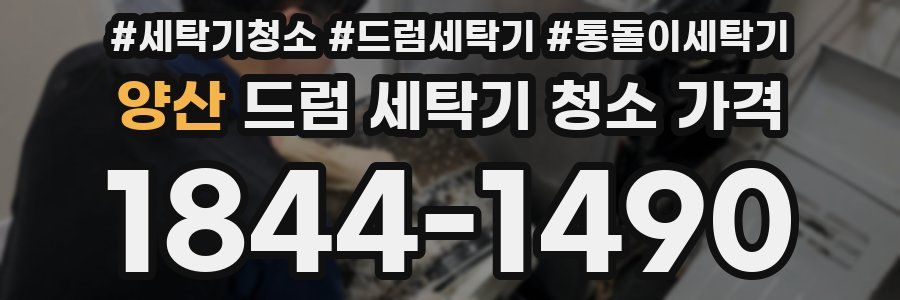 양산 드럼 세탁기 청소 가격