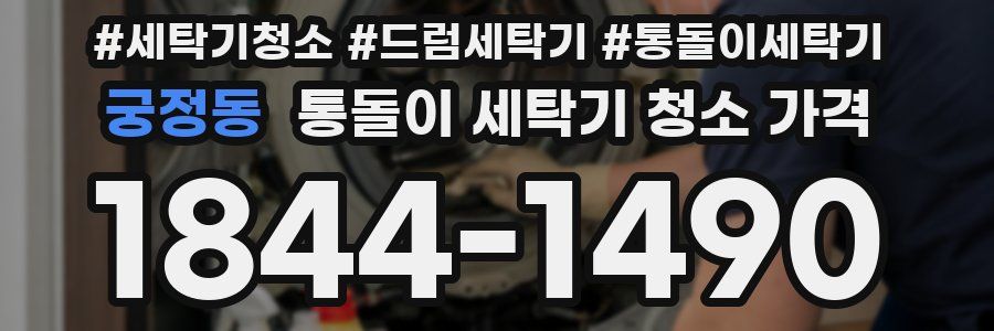궁정동 통돌이 세탁기 청소 가격