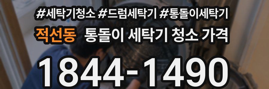 적선동 통돌이 세탁기 청소 가격