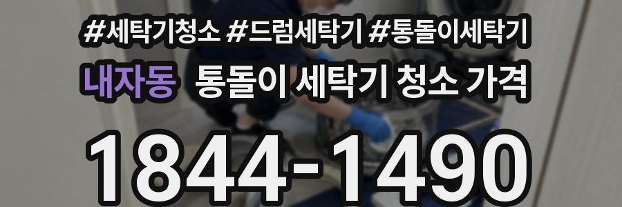 내자동 통돌이 세탁기 청소 가격