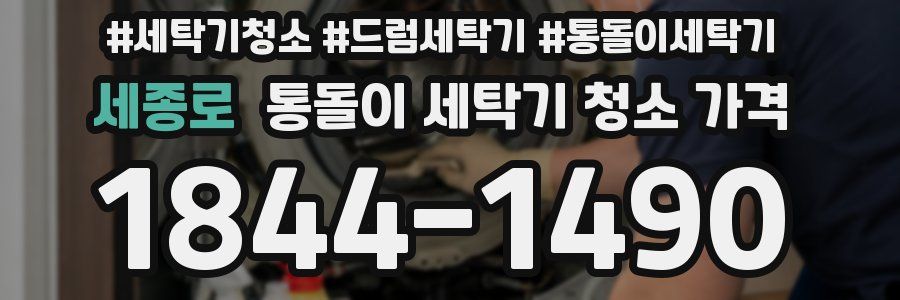 세종로 통돌이 세탁기 청소 가격